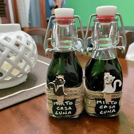 Casa Luna Apartamento Iglesias